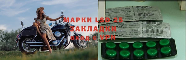 твердый Алзамай