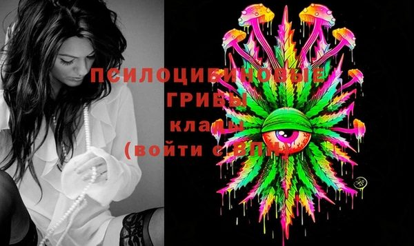 твердый Алзамай