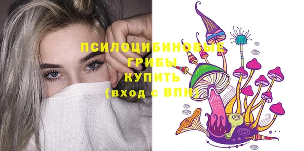 твердый Алзамай