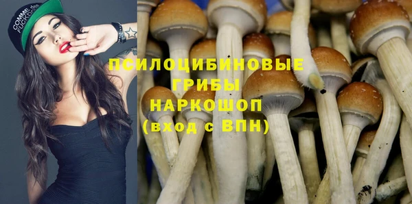 твердый Алзамай