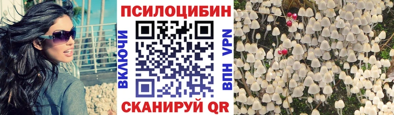 где найти   shop какой сайт  Псилоцибиновые грибы прущие грибы  Оса 