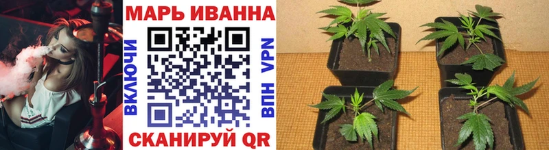 МАРИХУАНА Ganja  Оса 